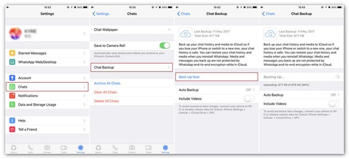 Backup WhatsApp Data iPhone