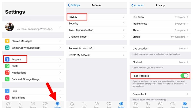 Disable WhatsApp Status on iPhone