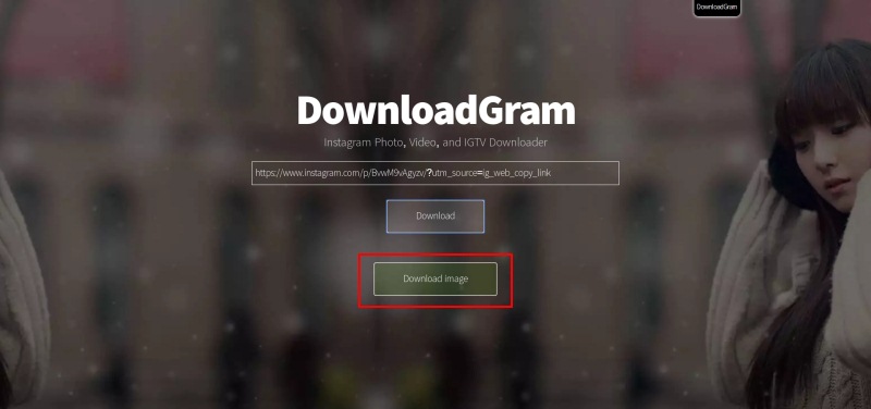 Download Instagram Photo on DownloadGram