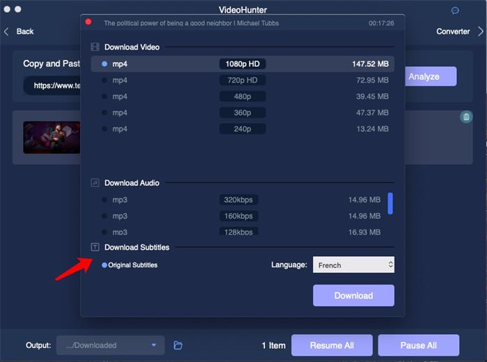 Download Subtitles VideoHunter