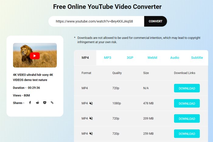 free 4k youtube video downloader online