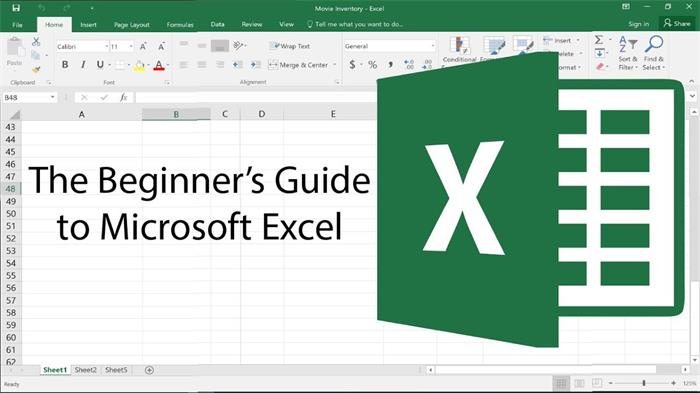 Basic and Advanced Excel Tutorial (Excel 2010, 2013, and 2016)