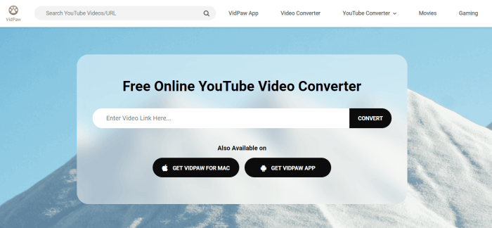 vidpaw youtube to mp44