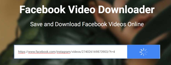 Paste URL to FB Downloader