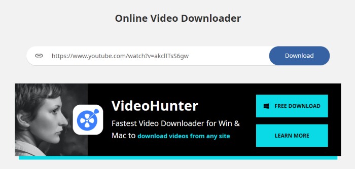 online video downloader vidpaw