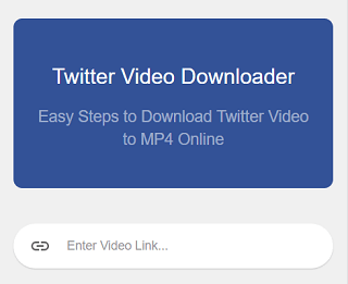 Paste the video URL