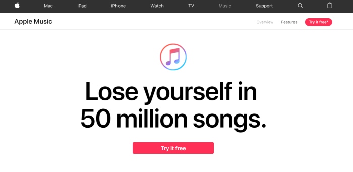 Apple Music Site