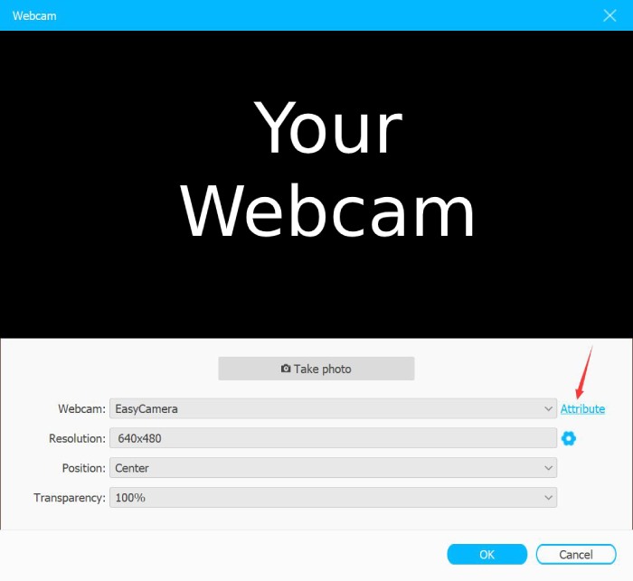 software to adjust webcam settings