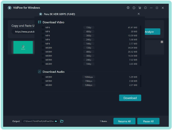 youtube video downloader vidpaw